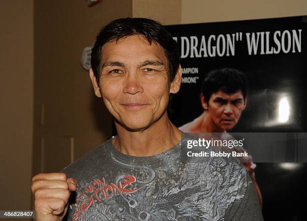 157 Don The Dragon Wilson Stock Photos, High-Res Pictures, and Images