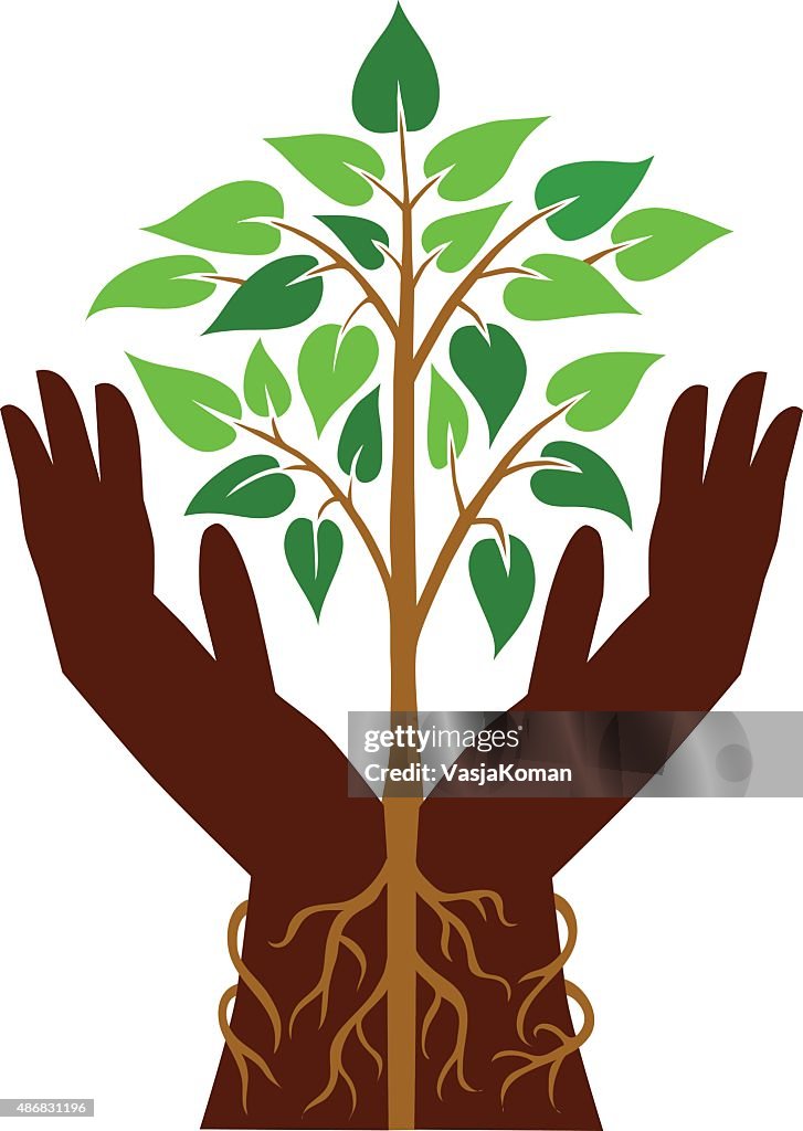 Two Hand Planet Tree Plant In Two Hands