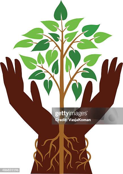 Root Hand Tree Roots Clipart High Res Illustrations - Getty Images