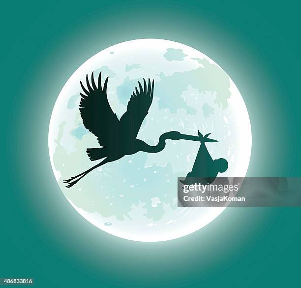 stockillustraties, clipart, cartoons en iconen met flying stork deliveres baby in moonlight - silhouette - ooievaar