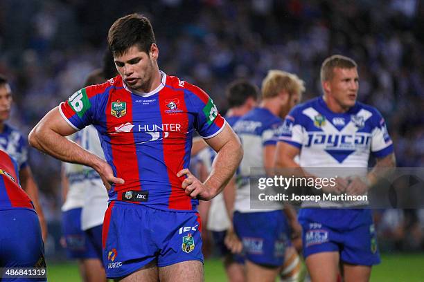 Jake Mamo of the Knights looks dejected after the Bulldogs scored a try during the round 8 NRL match between the Cantebury-Bankstown Bulldogs and the...