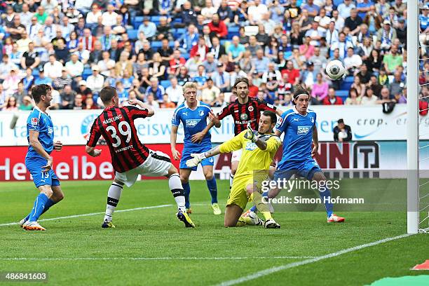 Alexander Madlung of Frankfurt tries to score against goalkeeper Jens Grahl of Hoffenheim during the Bundesliga match between 1899 Hoffenheim and...