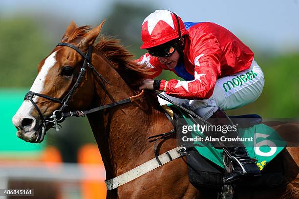 Jamie Moore riding Sire De Grugy clears the last to win The bet365 Celebration Steeple Chase at Sandown racecourse on April 26, 2014 in Esher,...