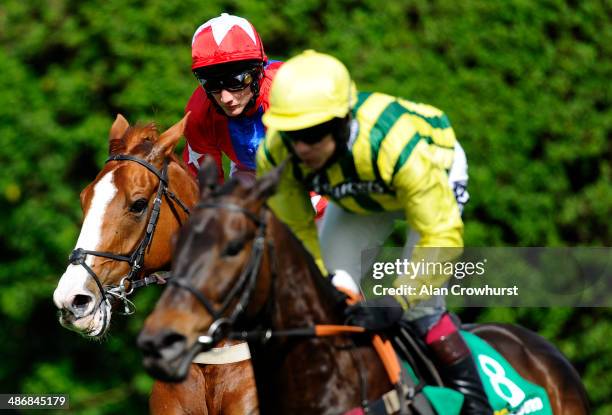 Jamie Moore riding Sire De Grugy on their way to winning The bet365 Celebration Steeple Chase at Sandown racecourse on April 26, 2014 in Esher,...