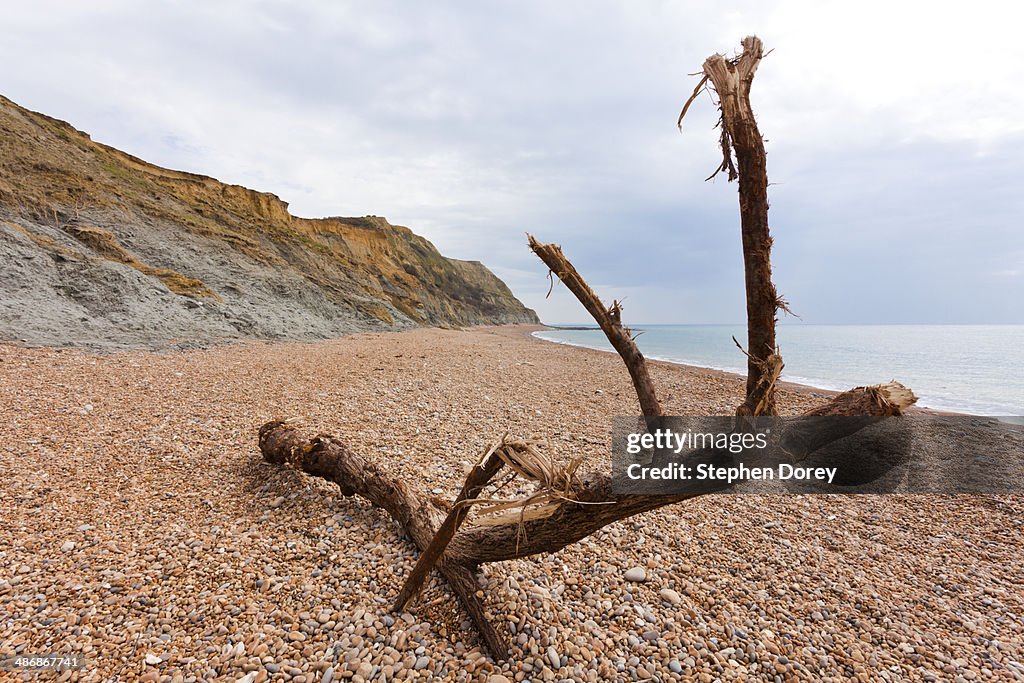 The Jurassic Coast - here at Seatown, Dorset UK