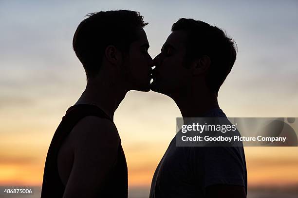 true love de beijo - beijo imagens e fotografias de stock