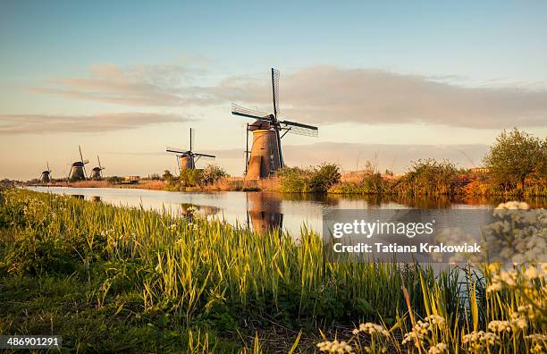 windmills in kinderdijk (netherlands) - idyllic retro stock pictures, royalty-free photos & images