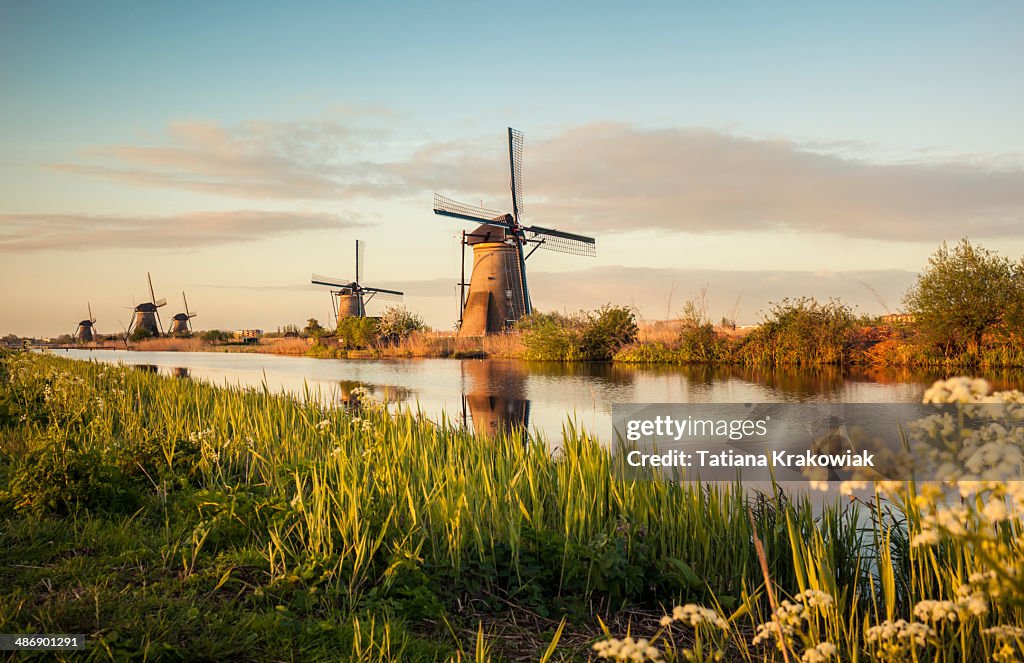 Windmills in Kinderdijk (Netherlands)