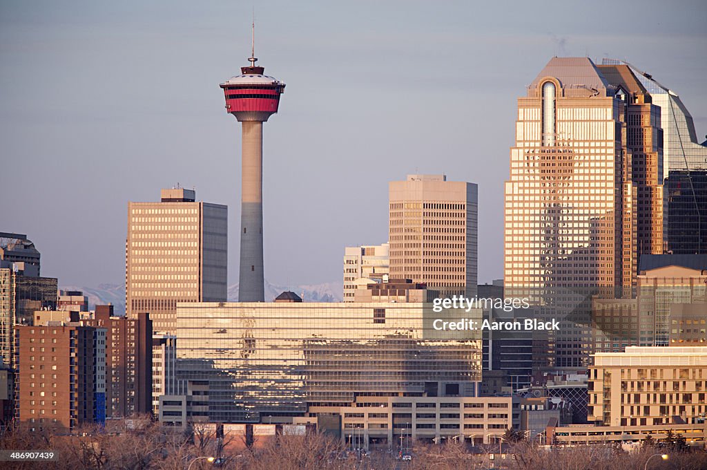 Large city buildings with morning light
