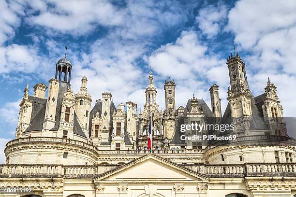 castello di chambord in francia-loire - blois foto e immagini stock