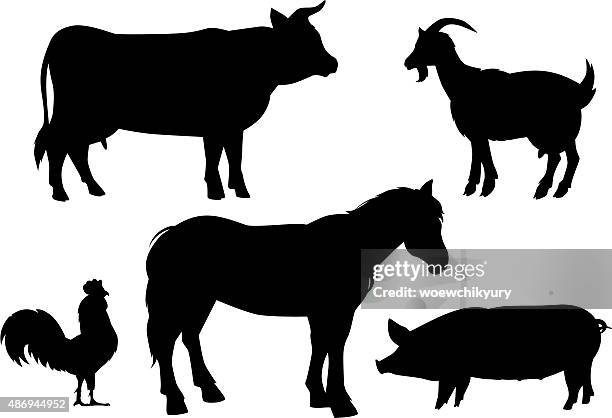 cattle vector - cutting chicken stock illustrations