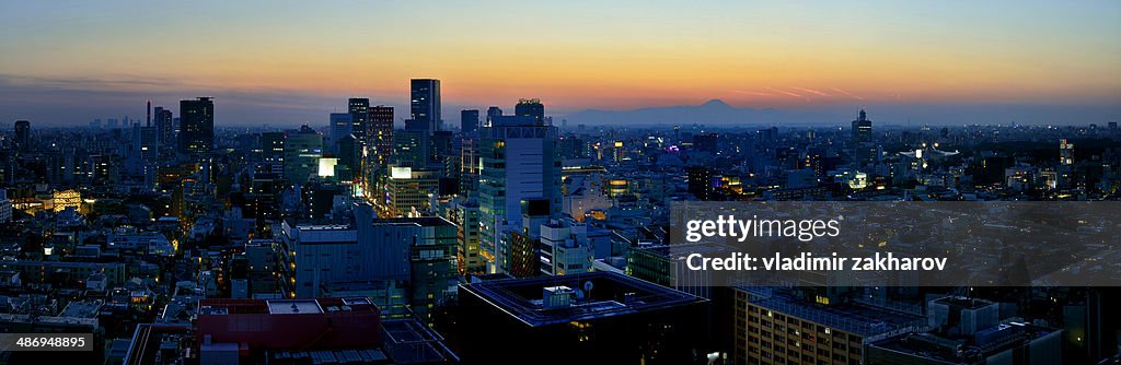 Panorama of Shibuya district of Tokyo at sunset