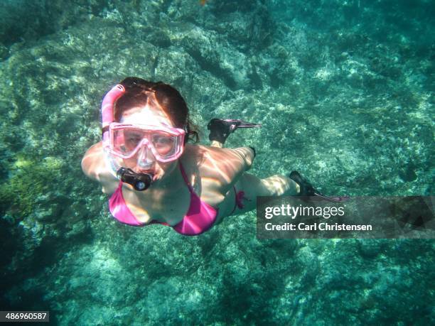 Woman in a pink bikini snorkeling back to the surface in the Caribbean at St. John in the US Virgin Islands