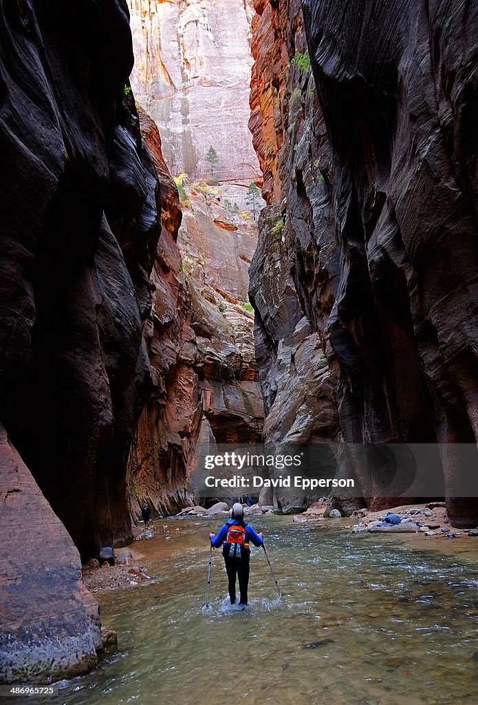 Be Adventurous!