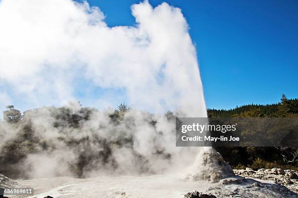 beautiful new zealand - geysir stock-fotos und bilder