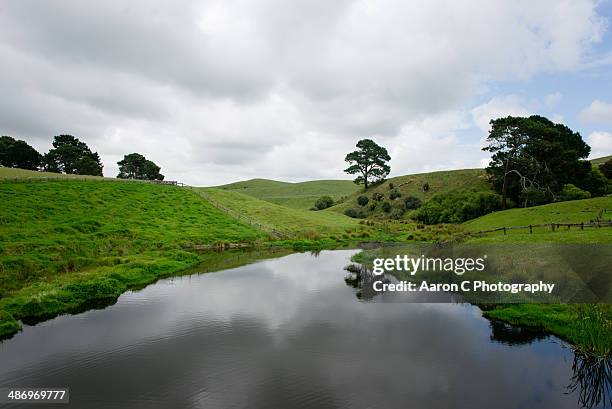 beautiful new zealand - north island new zealand 個照片及圖片檔