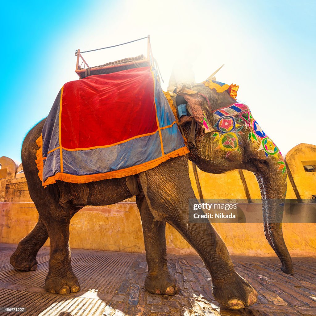 Colorful Elephant in India