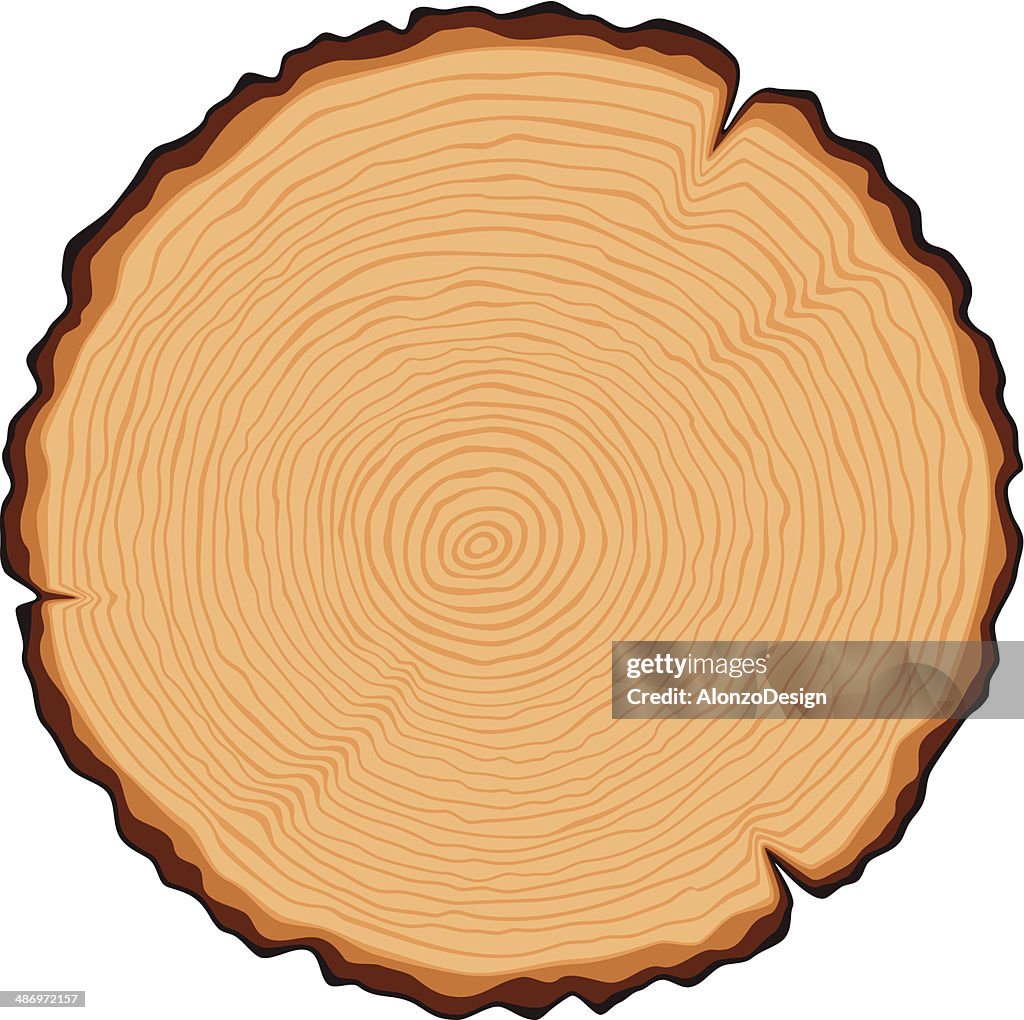 Wooden Cross Section