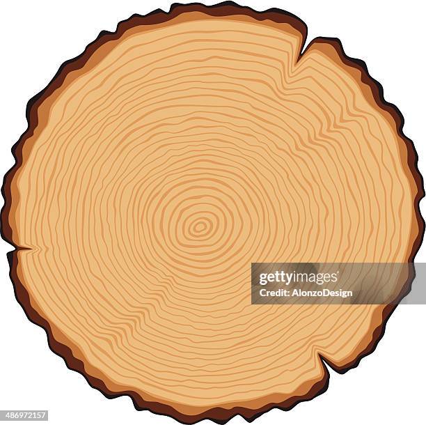 stockillustraties, clipart, cartoons en iconen met wooden cross section - boomstam