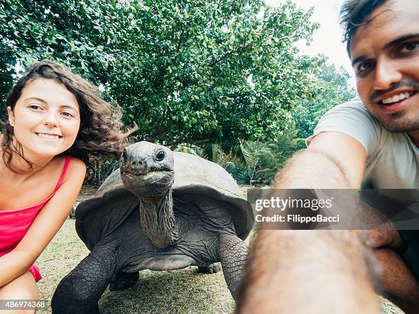 selfie with the giant turtle - animal selfies stock pictures, royalty-free photos & images