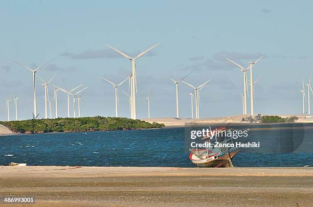 earth day challenge - rio grande do norte imagens e fotografias de stock