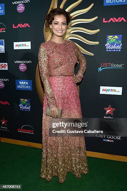 Dia Mirza arrives to the IIFA Awards at Raymond James Stadium on April 26, 2014 in Tampa, Florida.