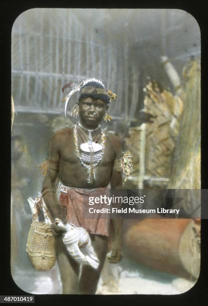 Man partially adorned for dance, wearing shells, hair ornaments, arm bands, and tapa loin cloth, while holding a large conch shell ornament or...