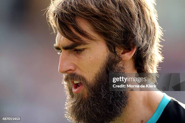 Justin Westhoff of the Power looks on during the round six AFL match between Port Adelaide Power and the Geelong Cats at Adelaide Oval on April 27,...