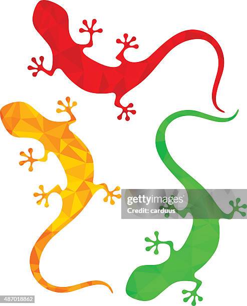 set of abstract polygonal reptiles - gecko stock illustrations