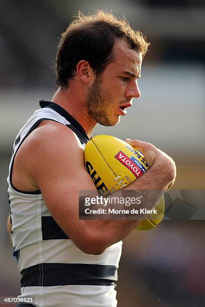 Josh Walker of the Cats holds the ball during the round six AFL match between Port Adelaide Power and the Geelong Cats at Adelaide Oval on April 27,...