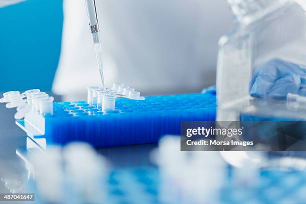 scientist pipetting sample into an eppendorf tube - eppendorf tube stock pictures, royalty-free photos & images