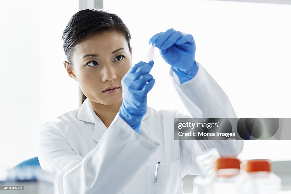 Scientist studying sample in eppendorf tube