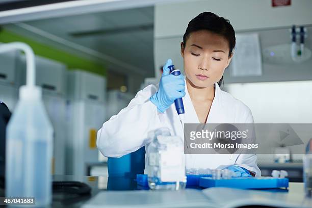 scientist pipetting samples into eppendorf tubes - eppendorf tube stock pictures, royalty-free photos & images