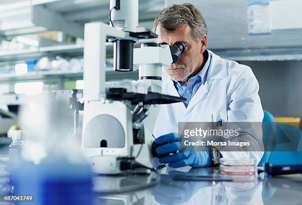 scientist looking through microscope - laboratorio fotografías e imágenes de stock