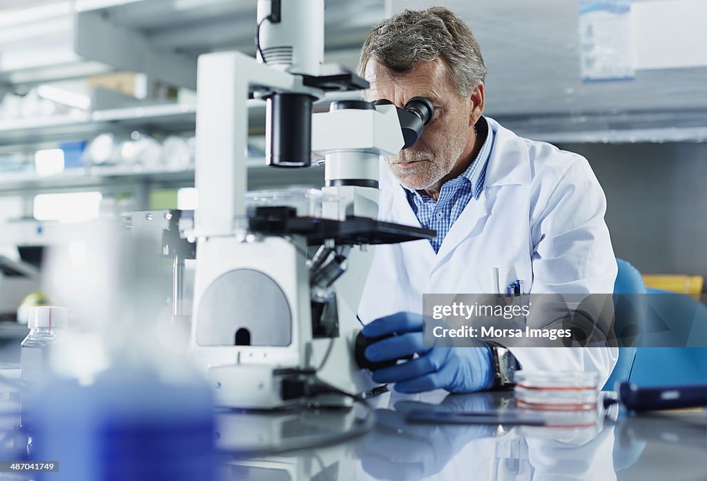 Scientist looking through microscope