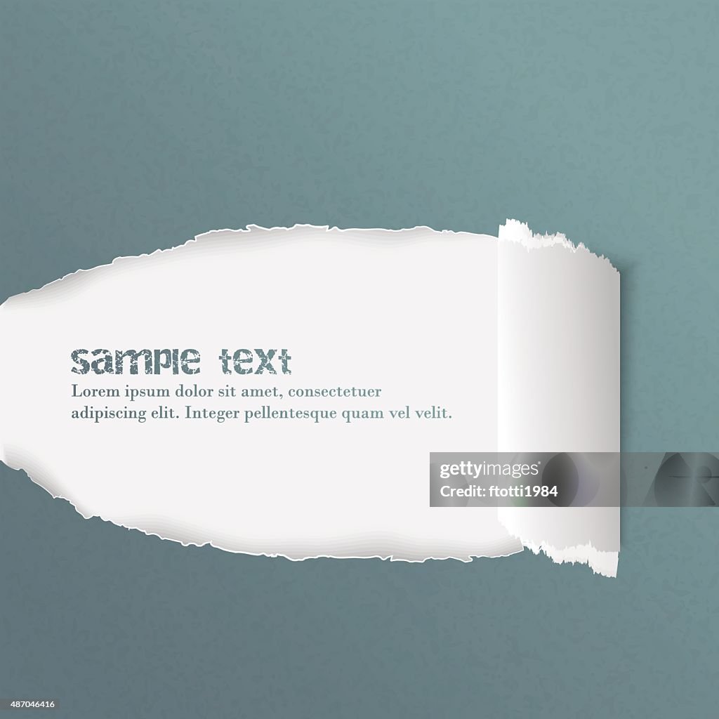 Torn Rolled Ripped Paper Vector Illustration High-Res Vector Graphic ...