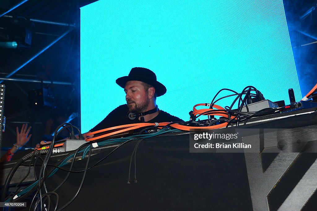 2015 Electric Zoo Festival