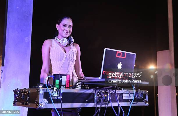 Michelle Pooch performs during the Haute Living Miami Haute 100 Dinner Presented By Dom Perignon And Jade Signature at PAMM Art Museum on April 26,...
