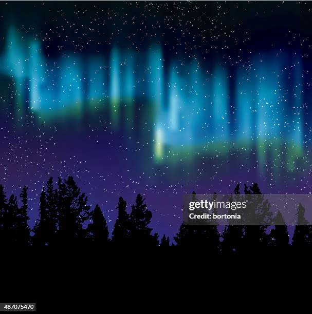 510点のオーロラ現象イラスト素材 Getty Images 510点のオーロラ現象イラスト素材 Getty Images