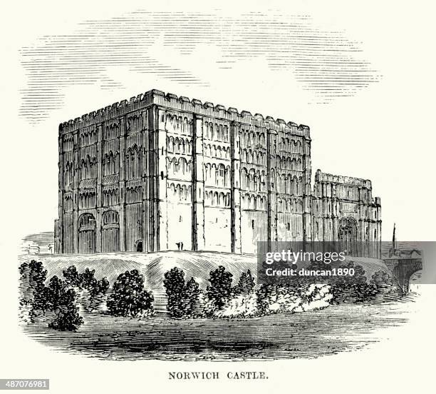 norwich castle - norwich stock illustrations