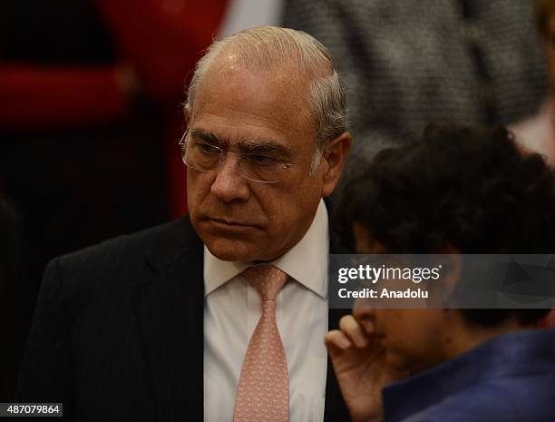 Secretary-General of the Organisation for Economic Co-operation and Development Jose Angel Gurria talks to Executive Director of the International...