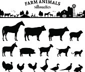 Vector Farm Animals Silhouettes Isolated on White