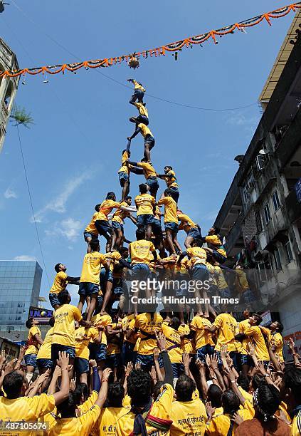 Youth tumble in an attempt to form a human pyramid to break the "Dahi Handi," an earthen pot filled with curd hanging above, an integral part of...