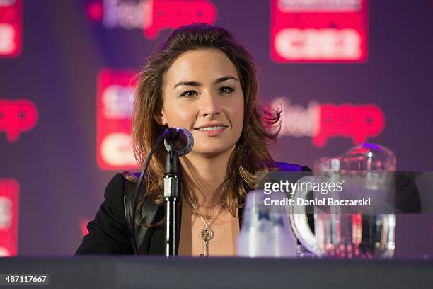 Allison Scagliotti attends the 2014 Chicago Comic and Entertainment Expo at McCormick Place on April 27, 2014 in Chicago, Illinois.