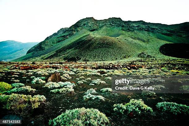 volcanic landscape - hierro stock pictures, royalty-free photos & images