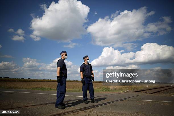 Hungarian police officers wait to greet migrants crossing the border from Serbia into Hungary along the railway tracks close to the village of Roszke...