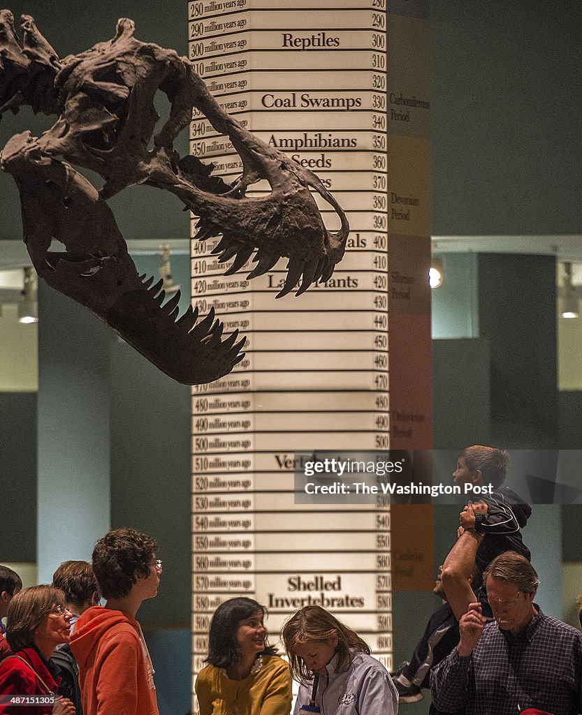 The dinosaur hall at the Smithsonian National Museum of Natural History, the world's second most visited museum, is shutting its doors for renovation, in Washington, DC.