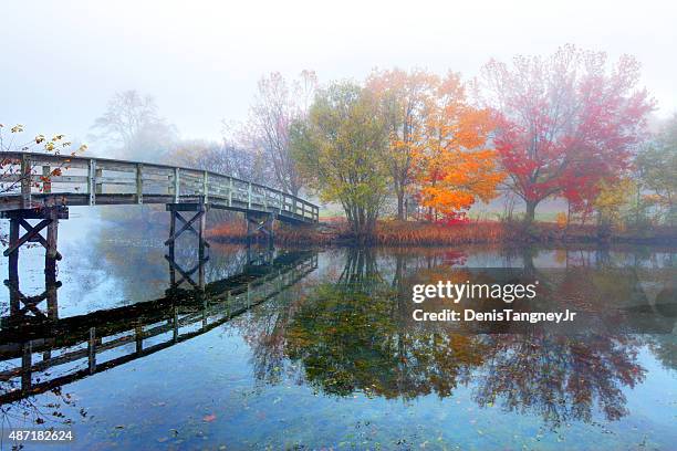 rustic bridge and autumn colors reflecting on a small pond - plymouth massachusetts stockfoto's en -beelden