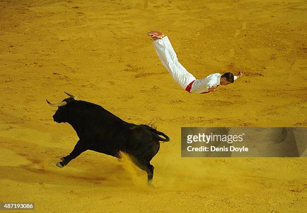 Fabien Napias of the French Recortadores company Passion Saltador leaps over a charging bull at the end of the Liga de Corte Puro finals at the Plaza...