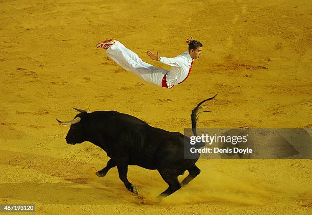 Fabien Napias of the French Recortadores company Passion Saltador leaps over a charging bull at the end of the Liga de Corte Puro finals at the Plaza...